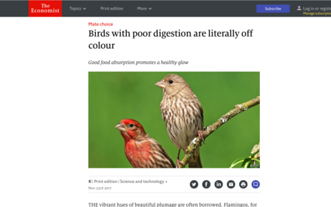 Tuul Sepa lugu The Economisti veebilehel.