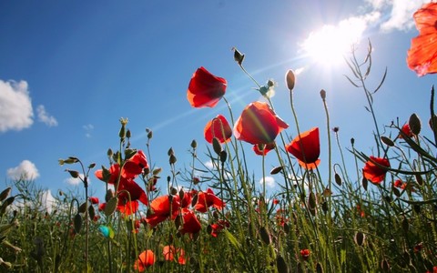 Kui vaadelda majanduskriisi perioodi aastatel 2008–2010, olid ääremaa vallad ainuke tüüp, kus ettevõtete asutamiste arv majanduslanguse tõttu ei vähenenud.
