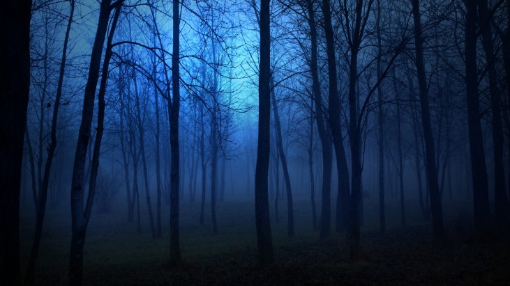 FBI Files: The Paranormal Collection